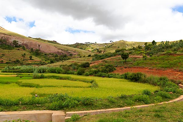 포토 JPG 해외이미지 나무 도로 밭 아프리카 자연 하늘 밥 산 파노라마 풍경 사람없음 야외 환경 계곡 흙 시골 언덕 리빙 마다가스카르 해외202105 해외포토 식물 나라 길 음식 농업 교통시설 촬영기법 생태계 파일형식
