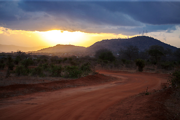 포토 JPG 해외이미지 나무 식물 도로 야생동물 아프리카 자연 하늘 풍경 초원 사람없음 야외 파란색 태양 환경 일몰 언덕 케냐 동쪽 남쪽 아카시아 보츠와나 사바나 해외202105 해외포토 자연요소 동물 나라 길 컬러 교통시설 노을 방향 생태계 파일형식