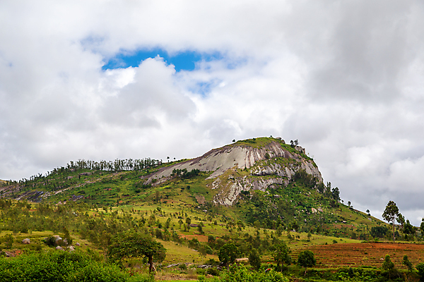포토 JPG 해외이미지 식물 꽃 야생동물 아프리카 자연 산 풍경 사람없음 야외 마을 정원 하이킹 시골 진화 마다가스카르 특별함 해외202105 해외포토 동물 나라 컨셉 레저 소방 생태계 파일형식