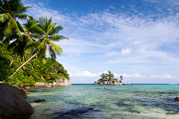 포토 JPG 해외이미지 나무 모래 파도 바다 잎 자연 하늘 휴식 풍경 사람없음 물 파란색 태양 맑음 침묵 바위 전원 만 서핑 휴양지 세이셸 석호 로스앤젤레스 화강암 해외202105 해외포토 자연요소 식물 컬러 컨셉 아프리카 날씨 미국 소리 장소 암석 돌_바위 수상스포츠 전기에너지 생태계 파일형식