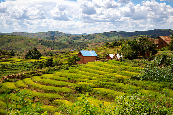 포토 JPG 해외이미지 나무 도로 아프리카 하늘 풍경 사람없음 야외 건물 농장 마을 계곡 시골 심플 지역 원시시대 부족 마다가스카르 볏집 옛날 해외202105 해외포토 식물 건축물 나라 길 컨셉 농업 교통시설 역사 파일형식