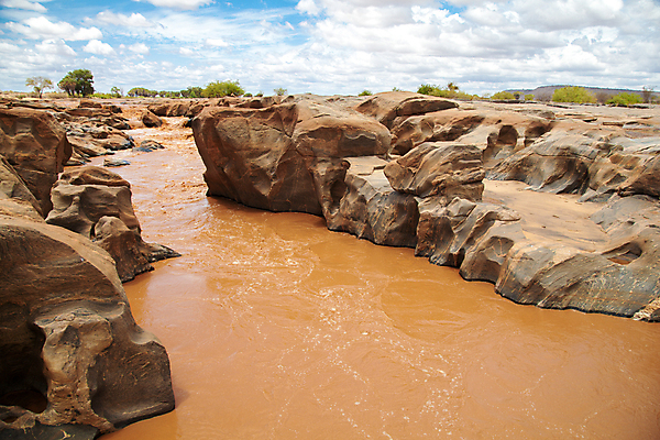 포토 JPG 해외이미지 동물 야생동물 아프리카 사람없음 빨간색 물 강 민주주의 상아 케냐 동쪽 남쪽 가나 공화국 나미비아 나이지리아 보츠와나 앙골라 에티오피아 우간다 잠비아 카메룬 콩고 탄자니아 해외202105 해외포토 자연요소 나라 컬러 방향 남아프리카 파일형식 서아프리카