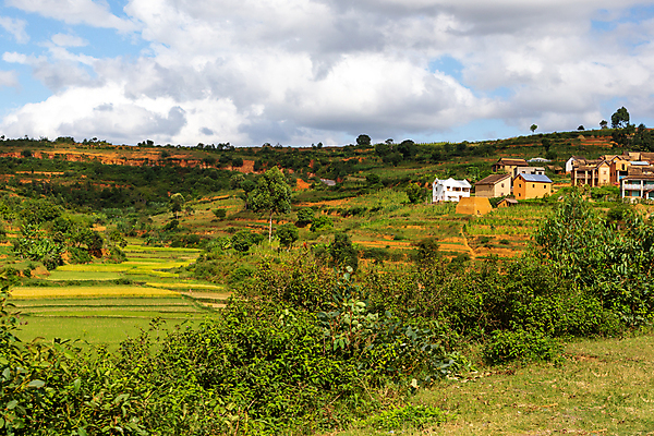 포토 JPG 해외이미지 나무 식물 아프리카 자연 하늘 밥 산 파노라마 풍경 초원 사람없음 야외 환경 계곡 흙 시골 숲 마다가스카르 특별함 해외202105 해외포토 나라 음식 컨셉 촬영기법 생태계 파일형식