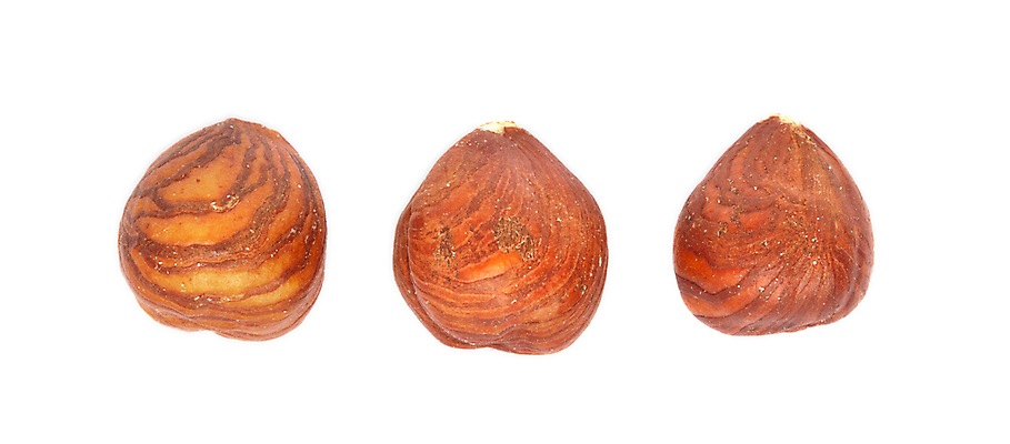 포토 JPG 해외이미지 잎 과일 재료 건조 씨앗 사람없음 쌓기 견과류 껍질 그룹 맛 상쾌 생태계 알맹이 비타민 흙더미 개암나무 헤이즐넛 개암 비건 해외202105 해외포토 나무 식물 열매 감정 컨셉 모션 흙 영양소 채식주의자 파일형식 더미