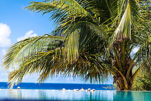 포토 JPG 해외이미지 라이프스타일 바다 자연 하늘 호텔 휴식 아파트 풍경 사람없음 야외 내부 물 파란색 맑음 수영 낭만 고급 갑판 빌라 그리스 휴양지 산토리니 무한 수평선 해외202105 해외포토 자연요소 유럽 컬러 컨셉 배_교통 숙소 날씨 주택 생활 장소 수상스포츠 생태계 파일형식