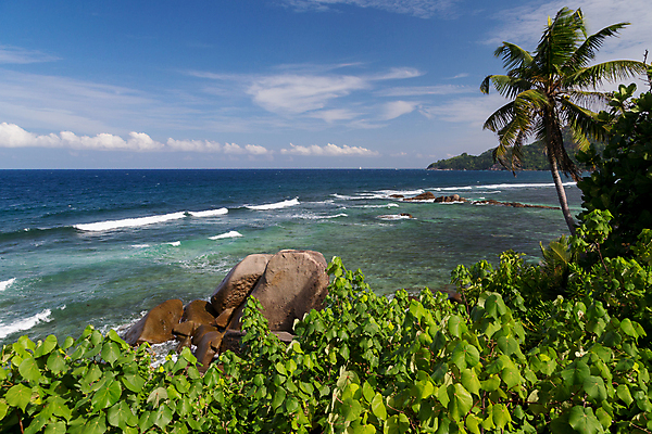 포토 JPG 해외이미지 나무 모래 파도 바다 자연 하늘 풍경 사람없음 야외 물 파란색 태양 맑음 꿈 신혼여행 바위 전원 만 큼 인도인 휴양지 세이셸 수평선 해외202105 해외포토 자연요소 외국인 식물 컬러 결혼 아프리카 날씨 동양인 장소 돌_바위 전기에너지 크기 생태계 파일형식