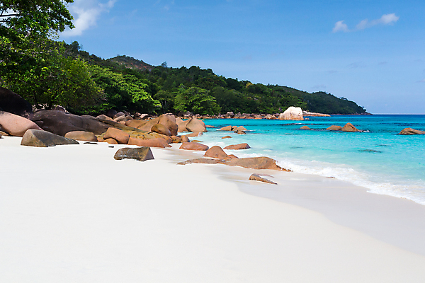 포토 JPG 해외이미지 나무 행복 모래 바다 자연 하늘 휴식 풍경 사람없음 물 파란색 침묵 낭만 신혼여행 바위 전원 휴양지 세이셸 로스앤젤레스 화강암 해외202105 해외포토 자연요소 식물 감정 컬러 결혼 컨셉 아프리카 미국 소리 장소 암석 돌_바위 전기에너지 생태계 파일형식