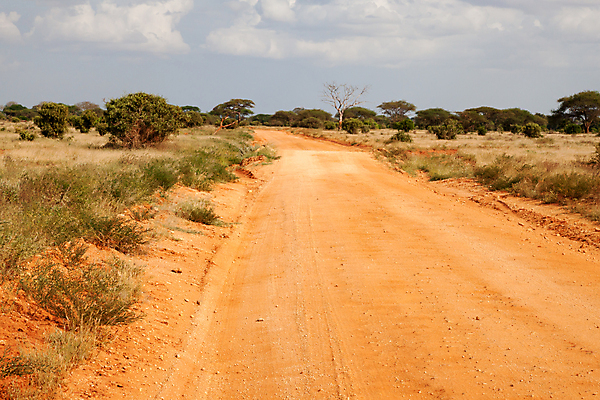 포토 JPG 해외이미지 나무 식물 도로 아프리카 자연 하늘 따뜻함 풍경 초원 사람없음 야외 빨간색 파란색 빛 환경 맑음 흙 뜨거움 보호 언덕 먼지 케냐 동쪽 남쪽 땅바닥 방법 사바나 생태학 서쪽 완벽 해외202105 해외포토 교육 나라 길 컬러 컨셉 교통시설 날씨 바닥 방향 생태계 파일형식