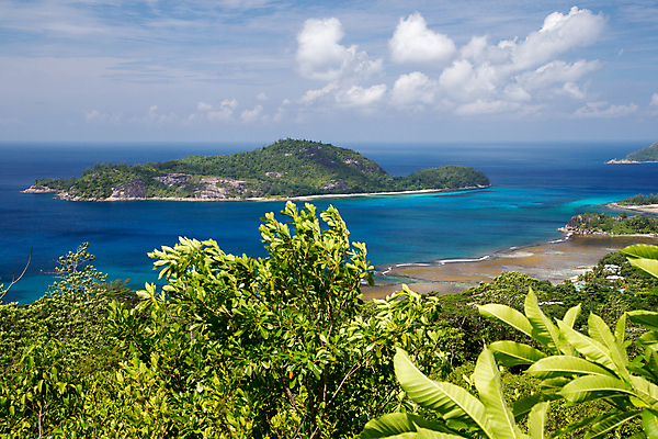 포토 JPG 해외이미지 나무 모래 파도 바다 자연 하늘 풍경 사람없음 야외 물 파란색 태양 맑음 꿈 신혼여행 바위 전원 만 큼 인도인 휴양지 세이셸 수평선 해외202105 해외포토 자연요소 외국인 식물 컬러 결혼 아프리카 날씨 동양인 장소 돌_바위 전기에너지 크기 생태계 파일형식