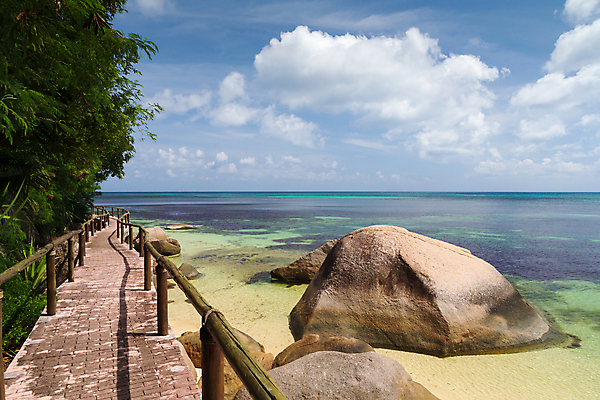 포토 JPG 해외이미지 식물 도로 길 바다 자연 하늘 휴식 풍경 사람없음 야외 물 파란색 정원 이탈리아 산책 낭만 오솔길 지중해 휴양지 해외202105 해외포토 자연요소 유럽 컬러 컨셉 교통시설 장소 생태계 파일형식