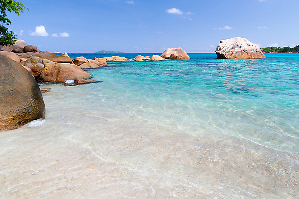 포토 JPG 해외이미지 나무 모래 파도 바다 잎 자연 하늘 휴식 풍경 사람없음 물 파란색 태양 맑음 침묵 바위 전원 만 서핑 휴양지 세이셸 석호 로스앤젤레스 화강암 해외202105 해외포토 자연요소 식물 컬러 컨셉 아프리카 날씨 미국 소리 장소 암석 돌_바위 수상스포츠 전기에너지 생태계 파일형식