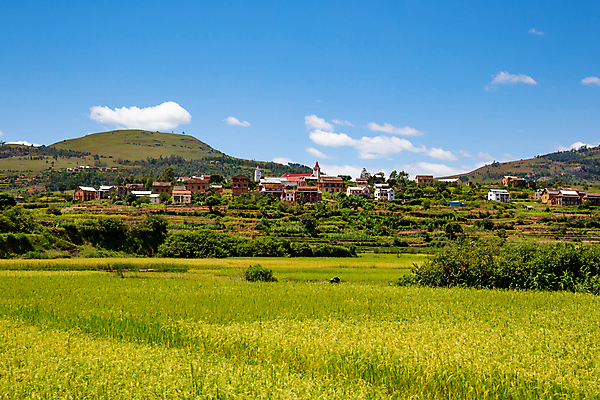 포토 JPG 해외이미지 나무 식물 아프리카 자연 하늘 밥 산 파노라마 풍경 초원 사람없음 야외 환경 계곡 흙 시골 숲 마다가스카르 특별함 해외202105 해외포토 나라 음식 컨셉 촬영기법 생태계 파일형식