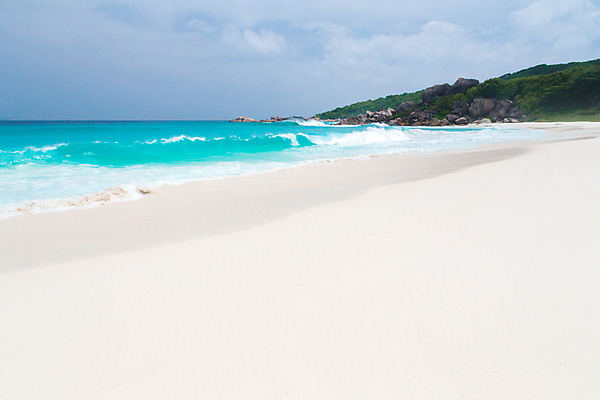 포토 JPG 해외이미지 나무 모래 파도 바다 잎 자연 하늘 휴식 풍경 사람없음 물 파란색 태양 맑음 침묵 바위 전원 만 서핑 휴양지 세이셸 석호 로스앤젤레스 화강암 해외202105 해외포토 자연요소 식물 컬러 컨셉 아프리카 날씨 미국 소리 장소 암석 돌_바위 수상스포츠 전기에너지 생태계 파일형식