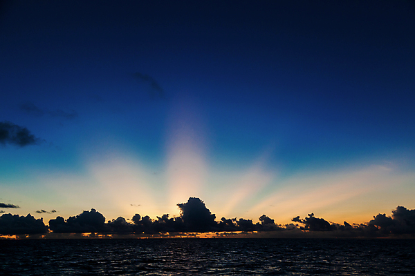 포토 JPG 해외이미지 나무 바다 자연 하늘 풍경 사람없음 야외 빛 태양 일출 일몰 휴양지 세이셸 수평선 해외202105 해외포토 자연요소 식물 아프리카 노을 장소 생태계 파일형식