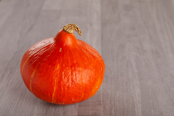 포토 JPG 해외이미지 호박 사람없음 천 해외202105 해외포토 채소 직물 파일형식