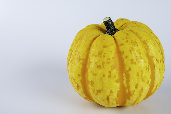 포토 JPG 해외이미지 식물 과일 호박 사람없음 박 해외202105 해외포토 채소 파일형식