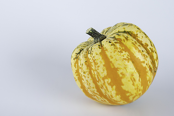 포토 JPG 해외이미지 식물 무료이미지 과일 호박 사람없음 박 해외202105 해외포토 채소 파일형식