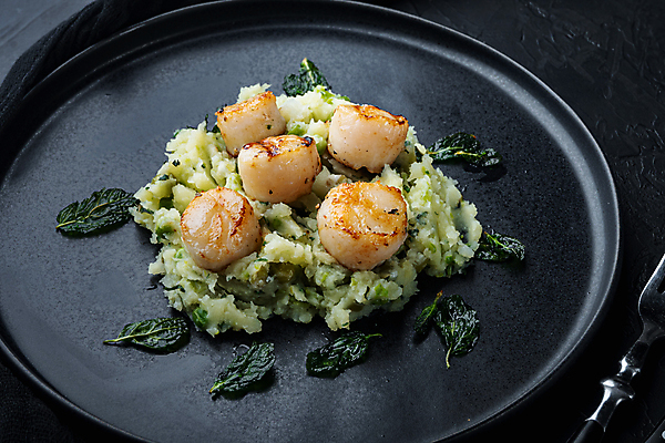 포토 JPG 해외이미지 음식 재료 검은배경 조개 육류 요리 사람없음 해산물 심플 가리비 해외202105 해외포토 백그라운드 식재료 어패류 검은색 파일형식