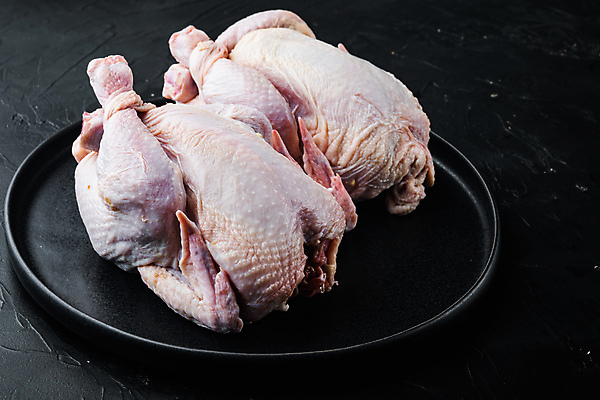 포토 JPG 해외이미지 생고기 사람없음 닭고기 생닭 해외202105 해외포토 육류 닭 파일형식