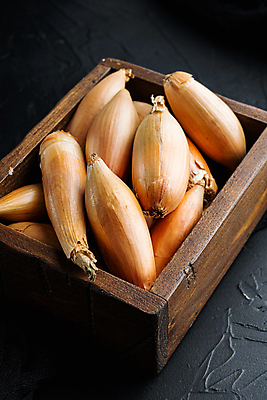 포토 JPG 해외이미지 식물 음식 재료 검은배경 양파 사람없음 날것 숙성 샬롯 해외202105 해외포토 백그라운드 채소 검은색 파일형식