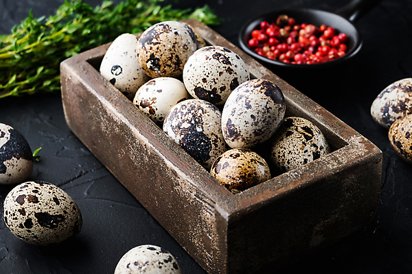 포토 JPG 해외이미지 음식 재료 검은배경 사람없음 계란 날것 메추리 해외202105 해외포토 백그라운드 알 검은색 파일형식
