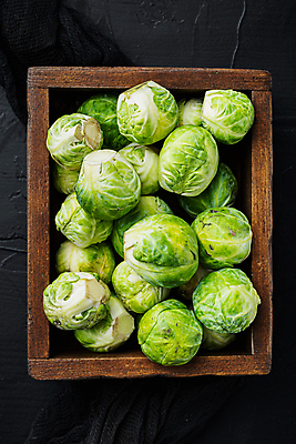 포토 JPG 해외이미지 채소 재료 검은배경 사람없음 양배추 날것 해외202105 해외포토 백그라운드 검은색 파일형식