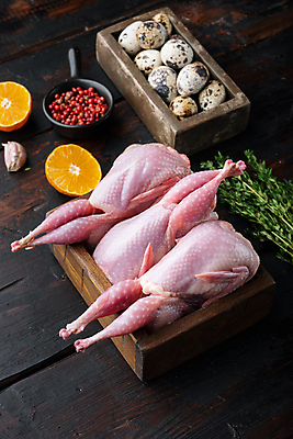 포토 JPG 해외이미지 동물 재료 육류 사람없음 계란 허브 날것 메추리 나무배경 해외202105 해외포토 식물 백그라운드 식재료 알 파일형식