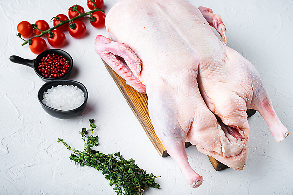 포토 JPG 해외이미지 재료 오리 육류 사람없음 흰배경 날것 해외202105 해외포토 백그라운드 식재료 조류 흰색 파일형식