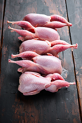 포토 JPG 해외이미지 동물 재료 육류 사람없음 날것 메추리 나무배경 해외202105 해외포토 백그라운드 식재료 파일형식