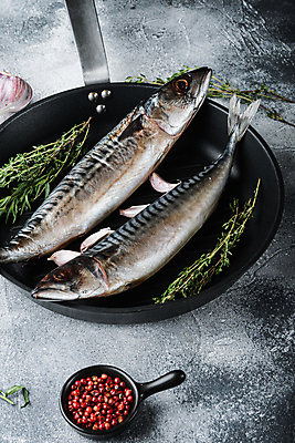 포토 JPG 해외이미지 음식 재료 회색배경 어류 사람없음 해산물 질감 날것 고등어 해외202105 해외포토 백그라운드 수중동물 회색 파일형식