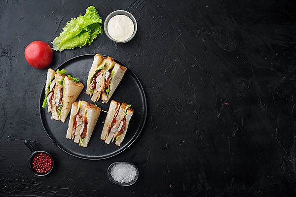 포토 JPG 해외이미지 샌드위치 사람없음 카피스페이스 해외202105 해외포토 음식 공백 파일형식