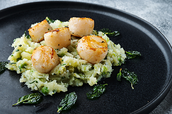 포토 JPG 해외이미지 음식 재료 회색배경 조개 육류 요리 사람없음 해산물 질감 심플 가리비 해외202105 해외포토 백그라운드 식재료 어패류 회색 파일형식