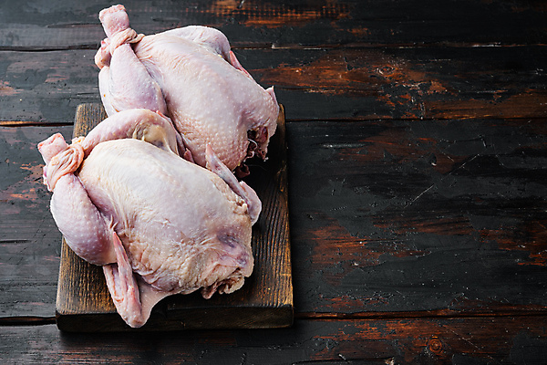 포토 JPG 해외이미지 생고기 사람없음 닭고기 생닭 카피스페이스 해외202105 해외포토 육류 공백 닭 파일형식