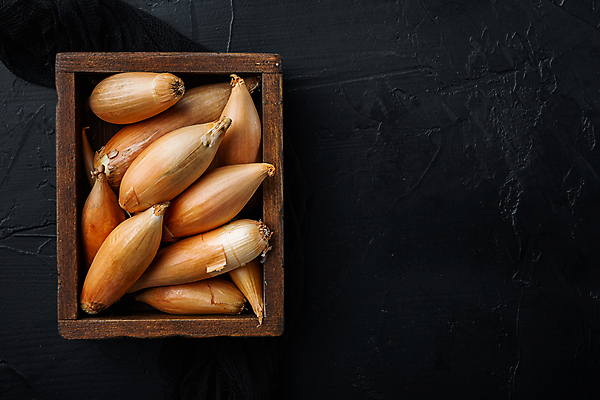 포토 JPG 해외이미지 식물 음식 재료 검은배경 양파 사람없음 날것 숙성 카피스페이스 샬롯 해외202105 해외포토 백그라운드 채소 검은색 공백 파일형식