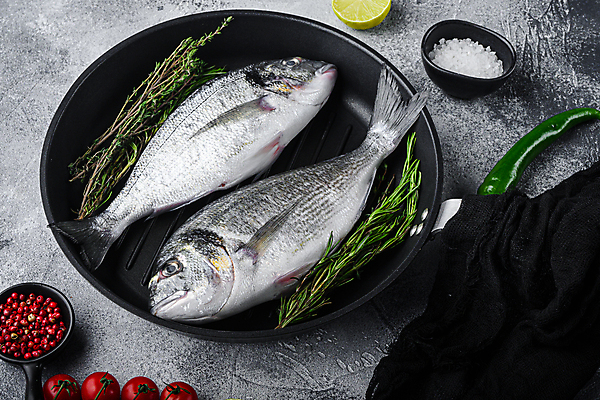 포토 JPG 해외이미지 재료 회색배경 어류 사람없음 해산물 질감 날것 도미 해외202105 해외포토 백그라운드 수중동물 회색 파일형식