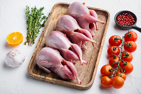 포토 JPG 해외이미지 동물 재료 육류 사람없음 허브 흰배경 질감 날것 메추리 해외202105 해외포토 식물 백그라운드 식재료 흰색 파일형식