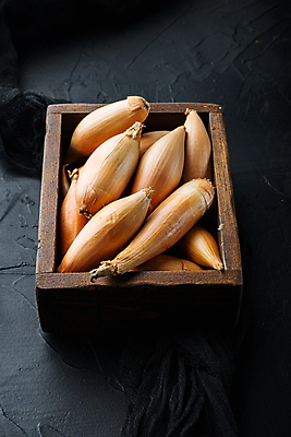 포토 JPG 해외이미지 식물 음식 재료 검은배경 양파 사람없음 날것 숙성 샬롯 해외202105 해외포토 백그라운드 채소 검은색 파일형식