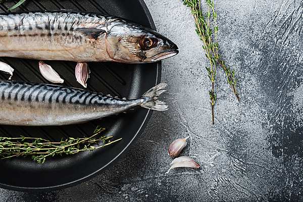 포토 JPG 해외이미지 음식 재료 회색배경 어류 사람없음 해산물 질감 날것 고등어 카피스페이스 해외202105 해외포토 백그라운드 수중동물 공백 회색 파일형식