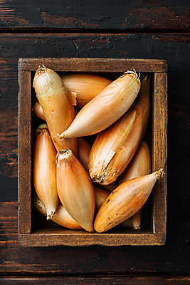 포토 JPG 해외이미지 식물 음식 재료 양파 사람없음 날것 숙성 샬롯 나무배경 해외202105 해외포토 백그라운드 채소 파일형식