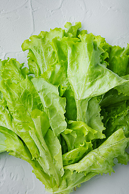 포토 JPG 해외이미지 식재료 실내 사람없음 상추 흰배경 해외202105 해외포토 백그라운드 채소 내부 흰색 파일형식
