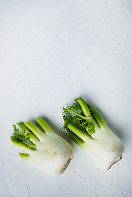 포토 JPG 해외이미지 식재료 실내 사람없음 두개 흰배경 펜넬 카피스페이스 해외202105 해외포토 백그라운드 2 채소 내부 공백 흰색 파일형식