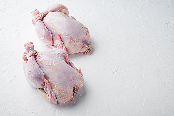 포토 JPG 해외이미지 생고기 사람없음 닭고기 생닭 카피스페이스 해외포토 육류 공백 닭 파일형식