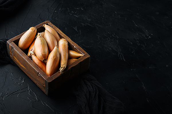 포토 JPG 해외이미지 식물 음식 재료 검은배경 양파 사람없음 날것 숙성 카피스페이스 샬롯 해외202105 해외포토 백그라운드 채소 검은색 공백 파일형식