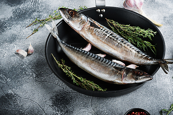 포토 JPG 해외이미지 음식 재료 회색배경 어류 사람없음 해산물 날것 고등어 해외202105 해외포토 백그라운드 수중동물 회색 파일형식