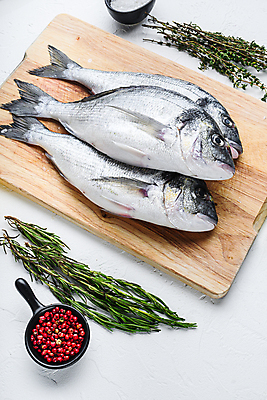 포토 JPG 해외이미지 재료 어류 사람없음 해산물 흰배경 날것 도미 해외202105 해외포토 백그라운드 수중동물 흰색 파일형식