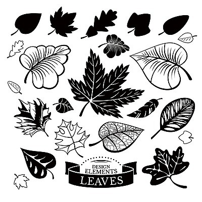 EPS 해외이미지 모양 나무 식물 무료이미지 디자인 계절 실루엣 단풍 잎 꽃무늬 일러스트 자연 추상 미술 목재 그래픽 장식 여름 세트 환경 검은색 봄 가을 나뭇가지 숲 수집 심볼 오브젝트 사인 에코 유기농 질감 자작나무 엘리먼트 스타일 해외202004 해외202105 해외일러스트 웰빙 꽃 컬러 무늬 재료 문화예술 촬영기법 생태계 파일형식 벡터