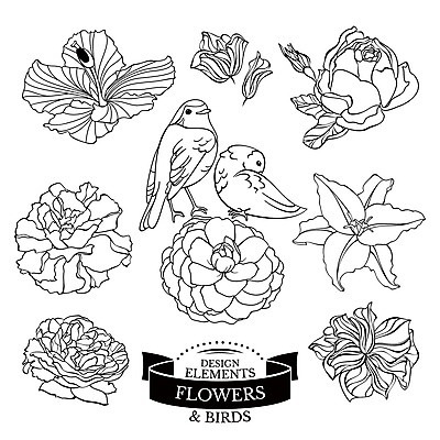 EPS 해외이미지 디자인 꽃 리본 두마리 일러스트 조류 사람없음 라인아트 엘리먼트 해외202004 해외202105 해외일러스트 식물 동물 선 2 파일형식 벡터