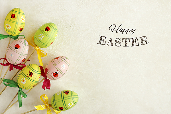 포토 JPG 해외이미지 전통 계절 꽃잎 꽃 리본 기독교 종교 음식 백그라운드 꽃무늬 텍스트 탁자 추상 휴가 부활절 선물 미술 사람없음 목재 장식 컬러풀 바구니 계란 봄 수확 축하 인사 화려 날짜 둥지 4월 심볼 오브젝트 사인 활 질감 복고 신성 구성 국경 해외202004 해외202105 해외포토 나무 식물 기념일 컬러 가구 컨셉 무늬 농업 재료 문화예술 알 예절 파일형식