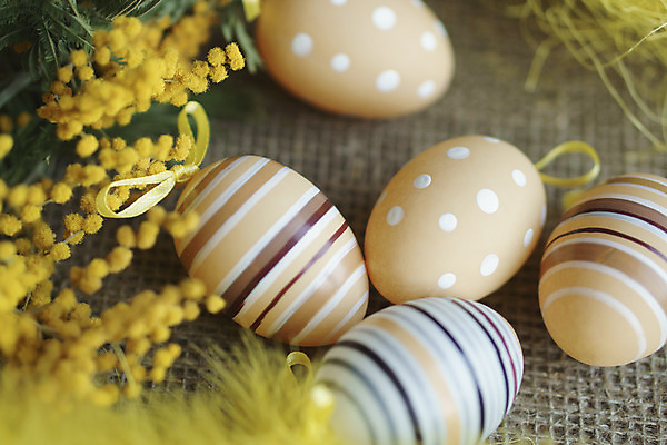 포토 JPG 해외이미지 무료이미지 전통 계절 꽃잎 꽃 리본 종교 음식 백그라운드 꽃무늬 텍스트 탁자 추상 휴가 부활절 선물 미술 사람없음 목재 장식 컬러풀 바구니 계란 봄 수확 축하 인사 점 신용카드 화려 날짜 둥지 4월 심볼 오브젝트 사인 활 질감 복고 신성 구성 국경 해외202004 해외202105 해외포토 나무 식물 기념일 컬러 가구 컨셉 무늬 농업 재료 문화예술 금융 알 예절 파일형식 무료콘텐츠