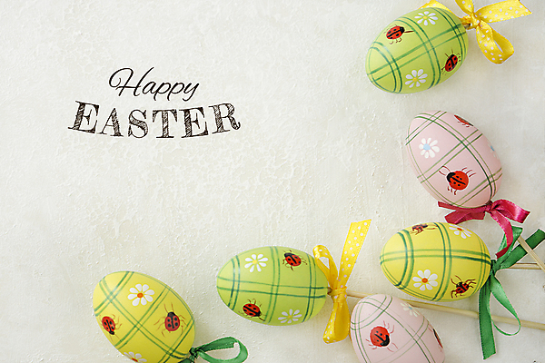 포토 JPG 해외이미지 전통 계절 꽃잎 꽃 리본 기독교 종교 음식 백그라운드 꽃무늬 텍스트 탁자 추상 휴가 부활절 선물 미술 사람없음 목재 장식 컬러풀 바구니 계란 봄 수확 축하 인사 화려 날짜 둥지 4월 심볼 오브젝트 사인 활 질감 복고 신성 구성 국경 해외202004 해외202105 해외포토 나무 식물 기념일 컬러 가구 컨셉 무늬 농업 재료 문화예술 알 예절 파일형식